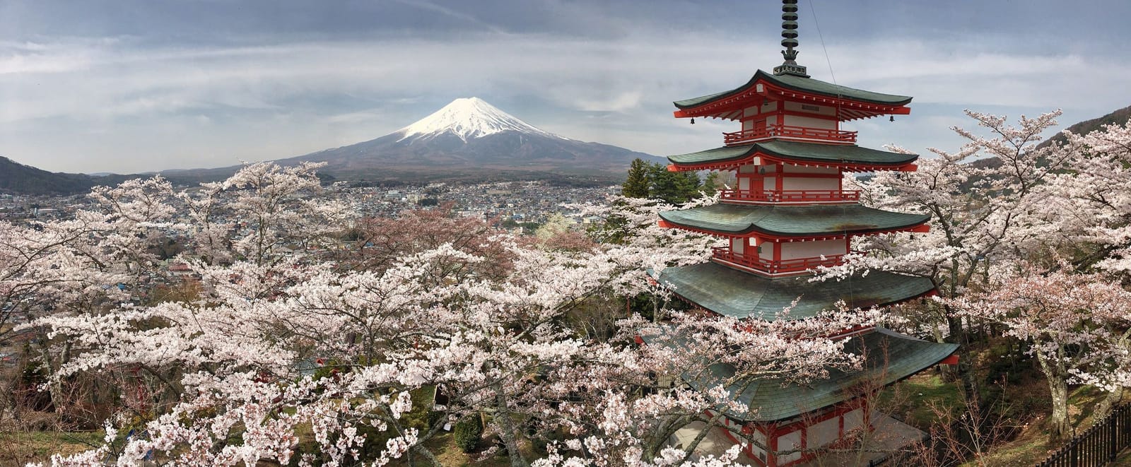 Podróże po Japonii — świątynie, kwitnące wiśnie i góry
